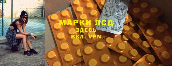 PSILOCYBIN Бородино