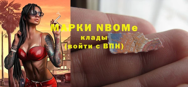 PSILOCYBIN Бородино
